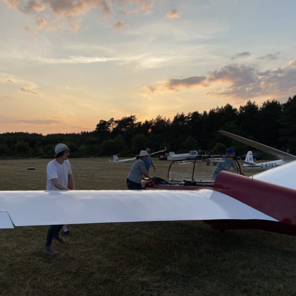 Sonnenuntergangsfliegen in Scheuen